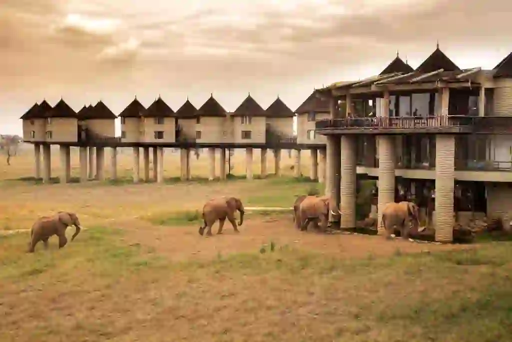 Sarova Salt Lick Game Lodge, Taita Hills