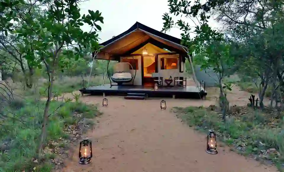 Safari Plains, Limpopo, tent