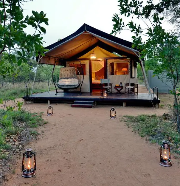 Safari Plains, Limpopo, tent
