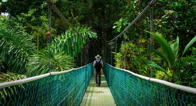 A man walking across a suspension bridge surrounded by lush greenery in the Monteverde Cloud Forest