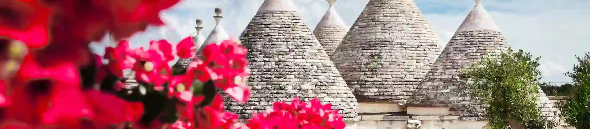 2000X1200 Carousel Background (4)