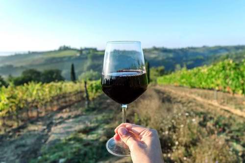 A food and wine tour through Tuscany