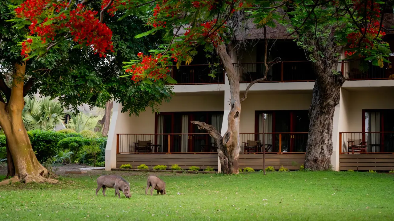 Chobe Safari Lodge Exteriors 1