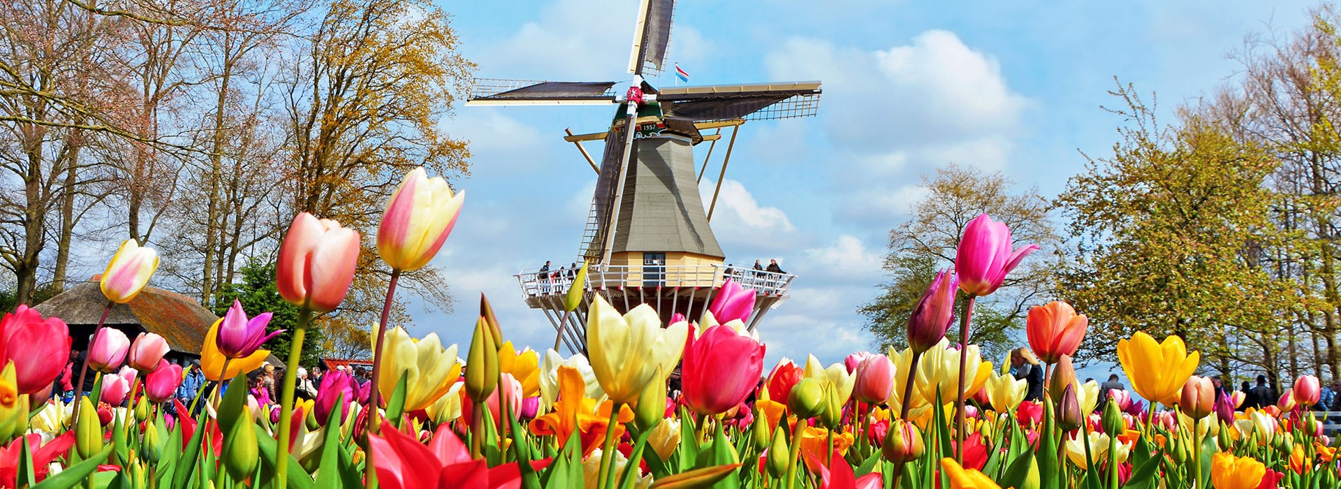 tourhub | Newmarket Holidays | Amsterdam & the Dutch Bulbfields by Eurostar 
