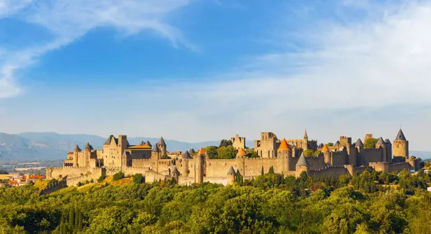 Wide angle shot of a large brown castle on the top of a forested hill, in front of a blue sky.