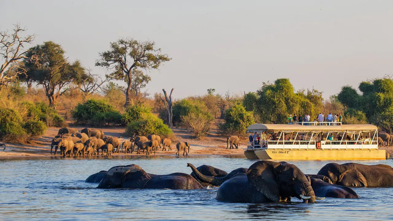 Chobe Boat Cruise, Botswana