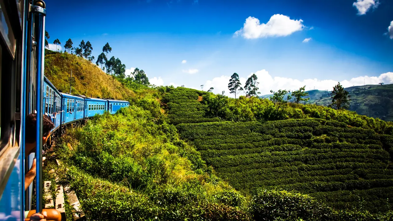 Train From Nuwara Eliya To Kandy Among Tea Plantations In The Highlands Of Sri Lanka