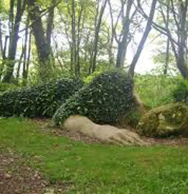 Lost Gardens Of Heligan