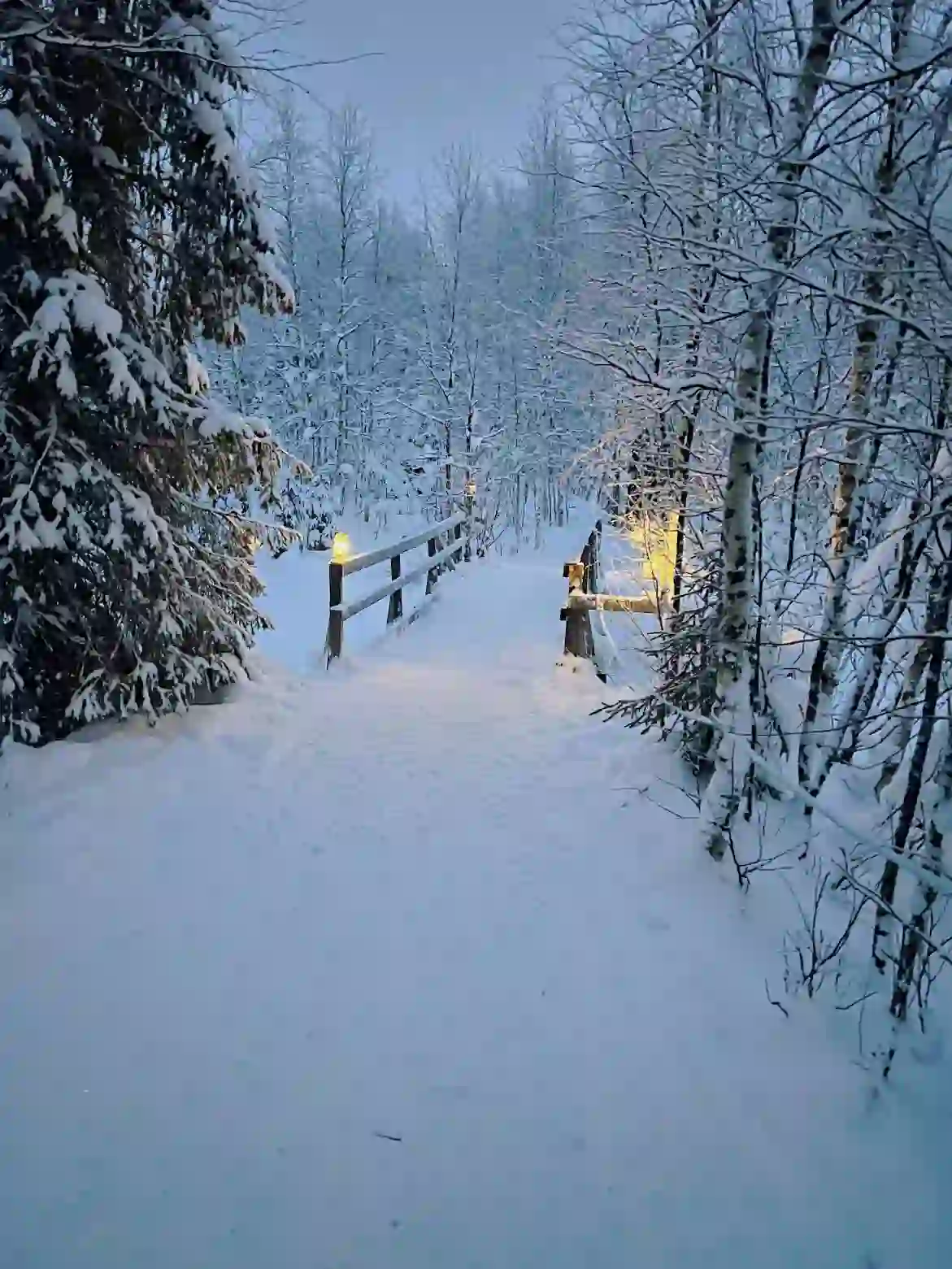 A wooden bridge covered in snow, surrounded by snow-covered trees in Swedish Lapland