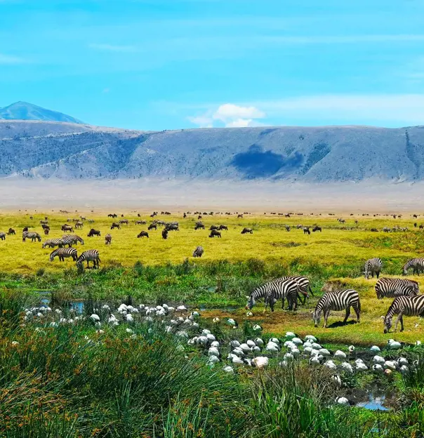  Ngorongoro Crater, Tanzania