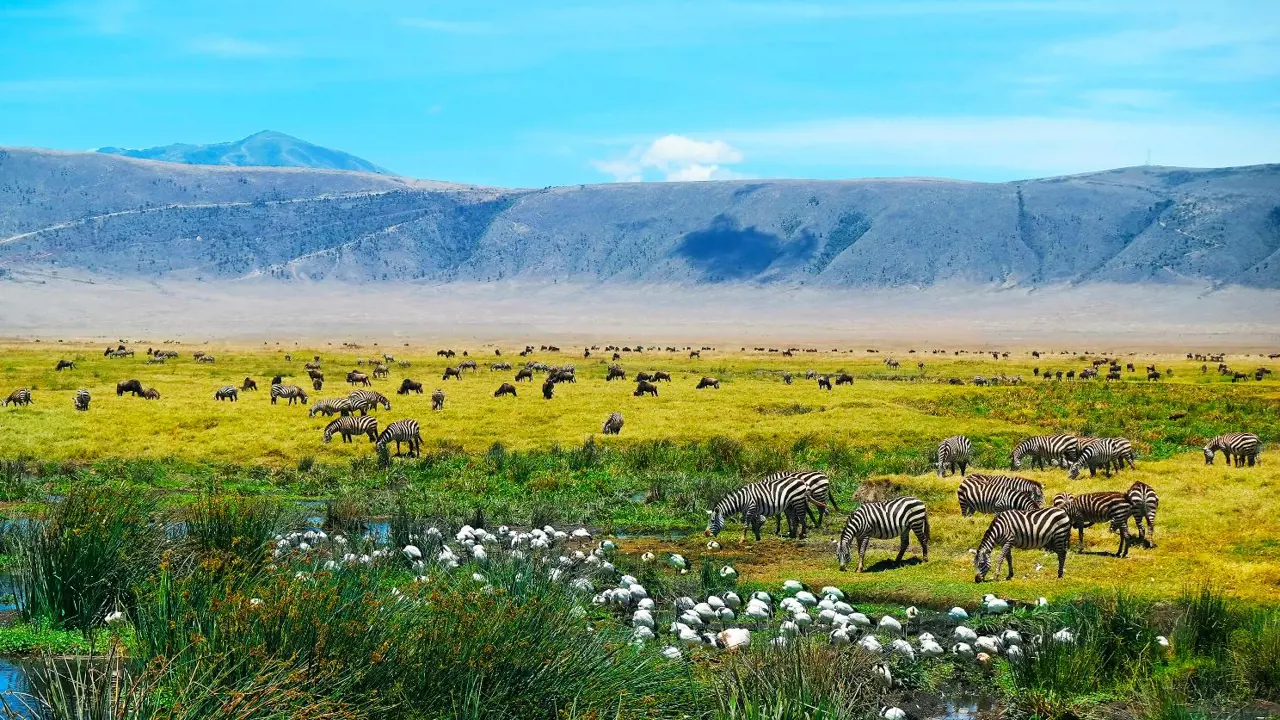  Ngorongoro Crater, Tanzania