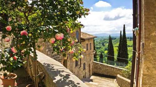 Tuscan Food & Wines