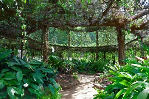 Unwind in the botanic gardens