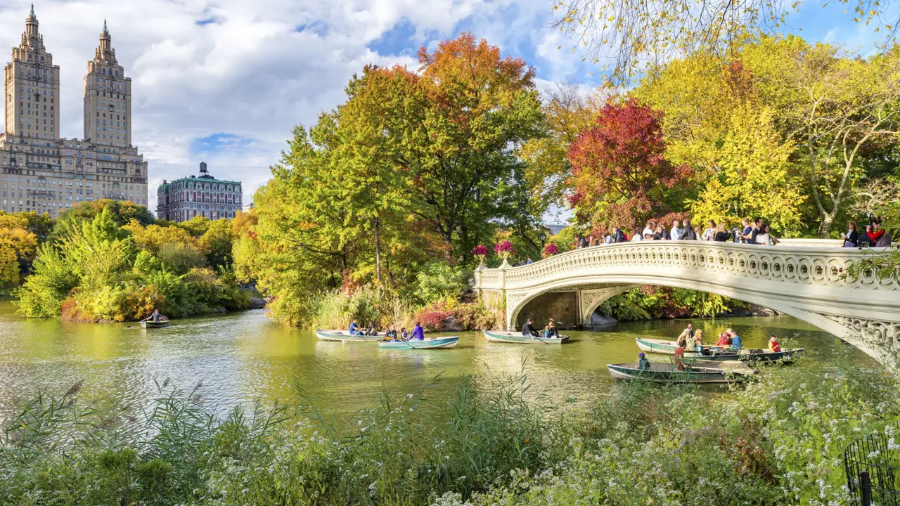 Central Park, New York in Spring