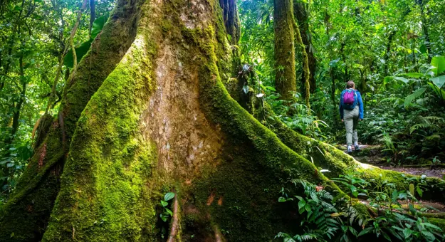 Hiking in Costa Rica 