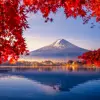 Mount Fuji At Lake Kawaguchik