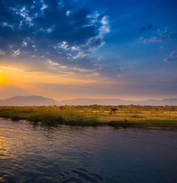 Zambezi National Park Zimbabwe