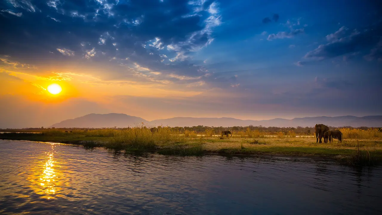 Zambezi National Park Zimbabwe