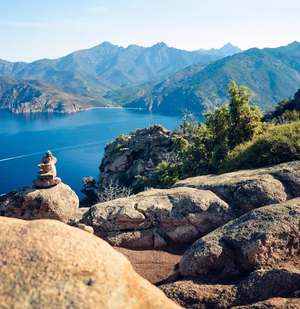 View of the sea with rocks in the forefront and a bush to the right. Mountains in the distance on the other side of the water