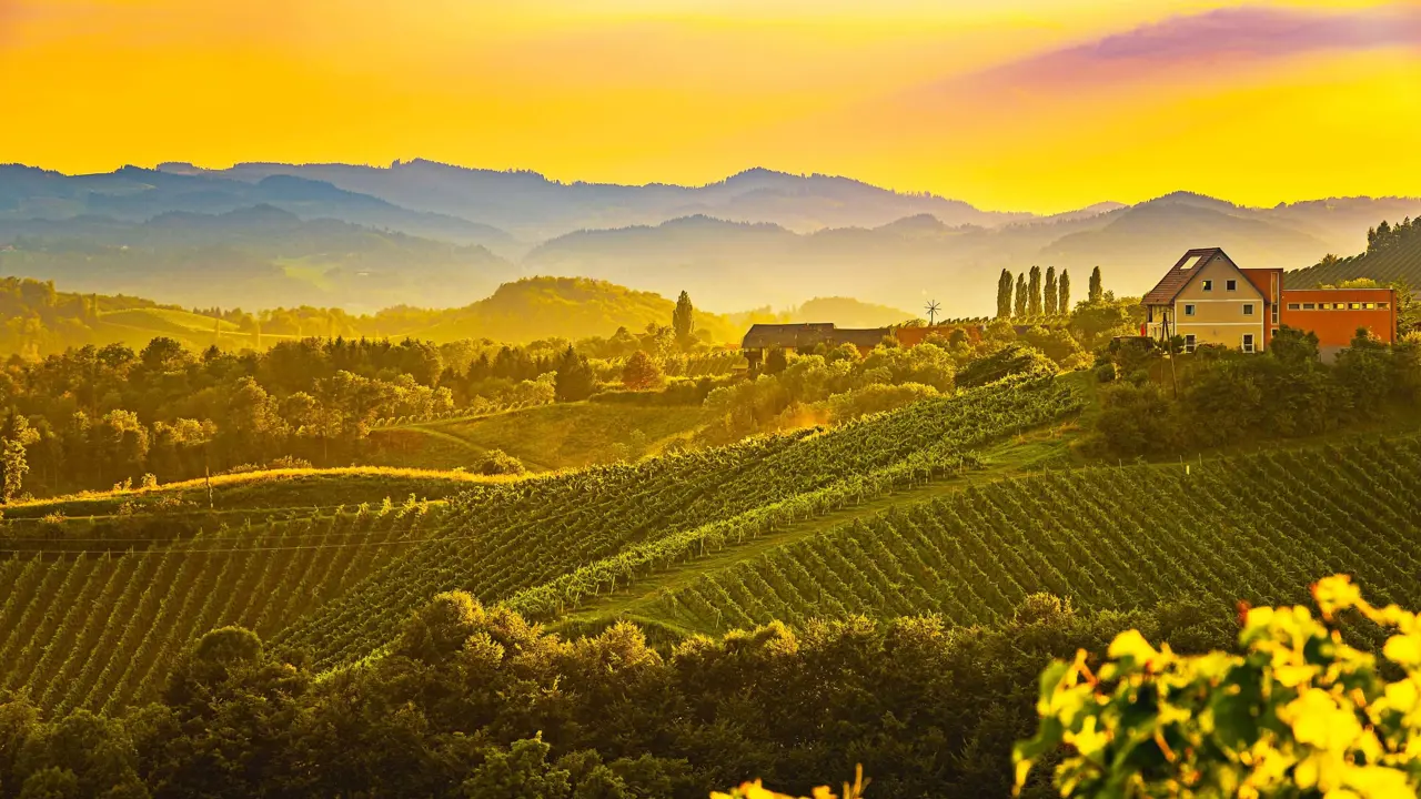 Tuscan Hills at sunset, with trees and farmland in the forefront