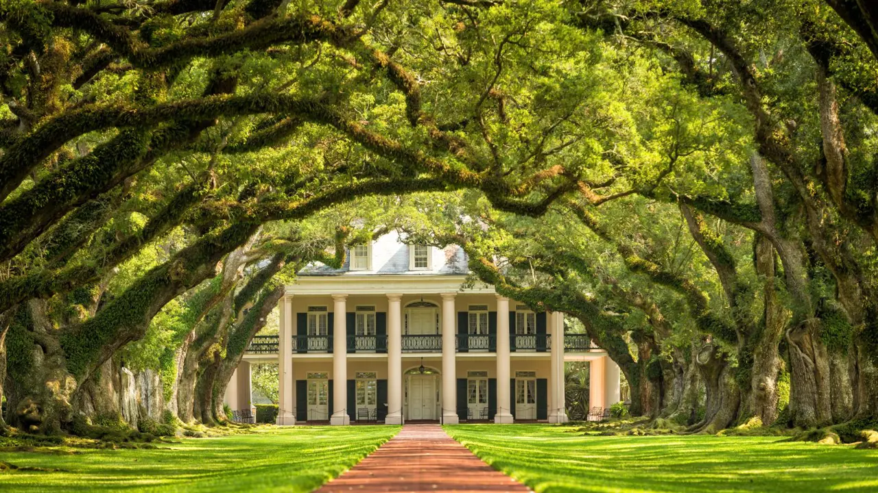 Sh 313883432 Oak Alley Plantation, Louisiana