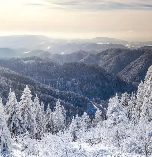 Winter Landscape In The Black Forest, Germany