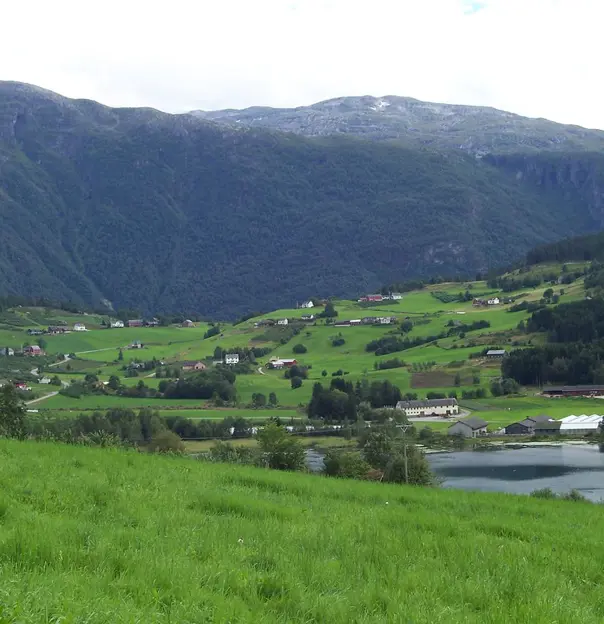 Ulvik