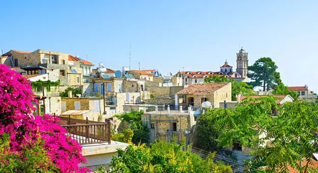 View of bricked houses with flat roofs on a hill, with bright pink flowers in the left forefront and green trees along the centre forefront to the right. In the distance to the right, two more trees in front of  the tower of a church, in front of a blue sky.