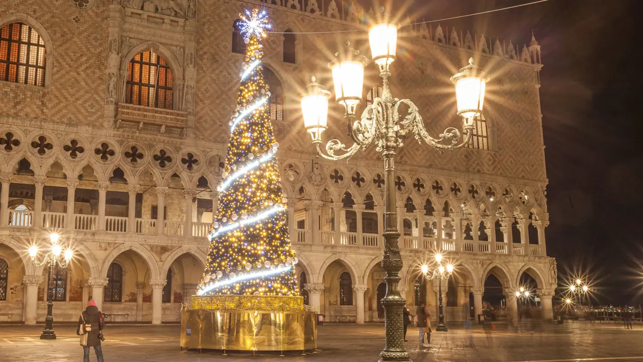 Lit up Christmas tree in San Marco Square, Venice