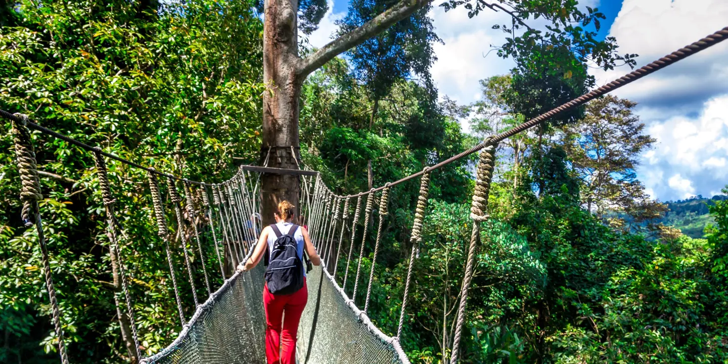 Kinabalu National Park, Borneo