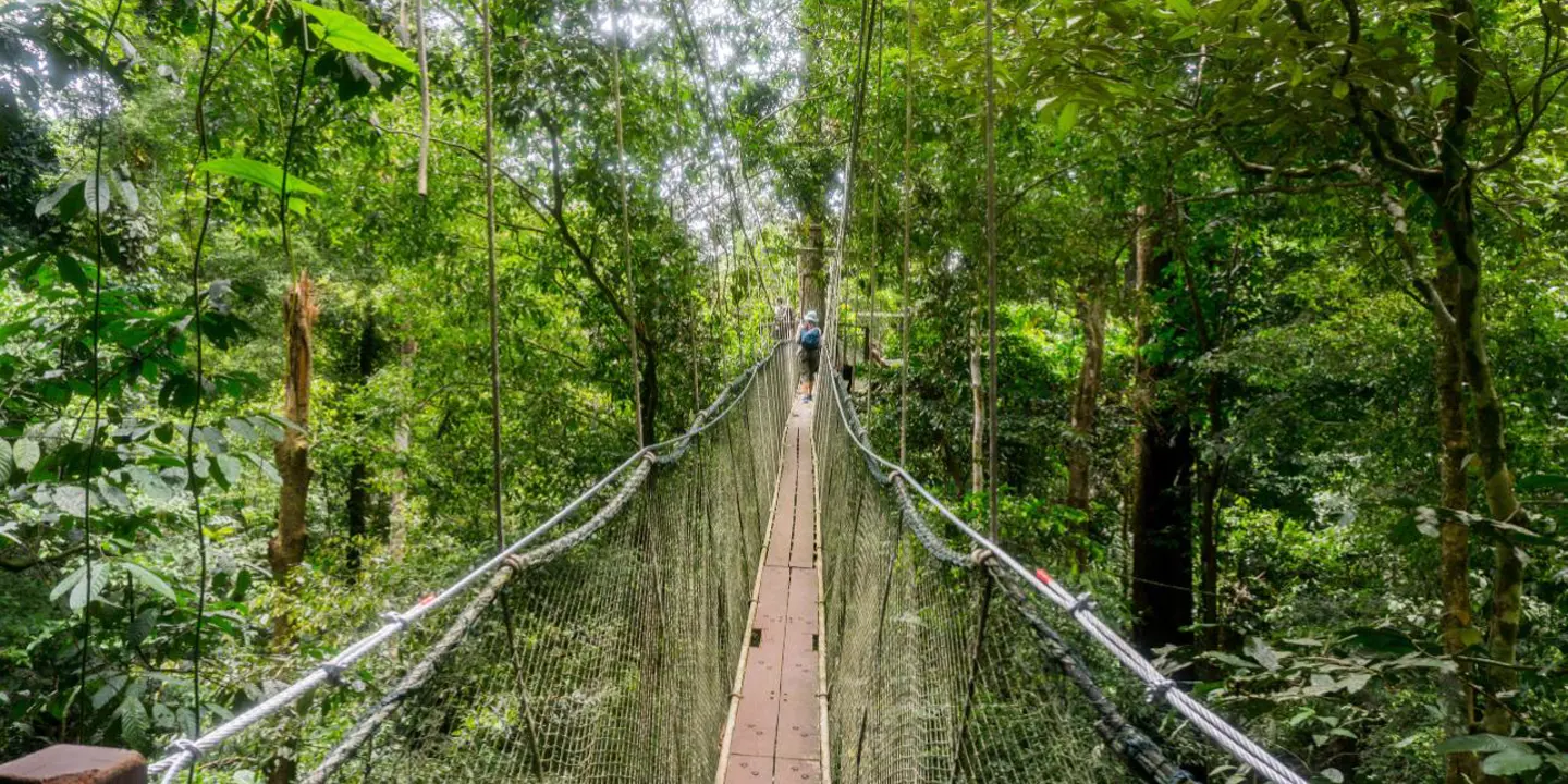 Hanging bridge, Kinabalu National Park