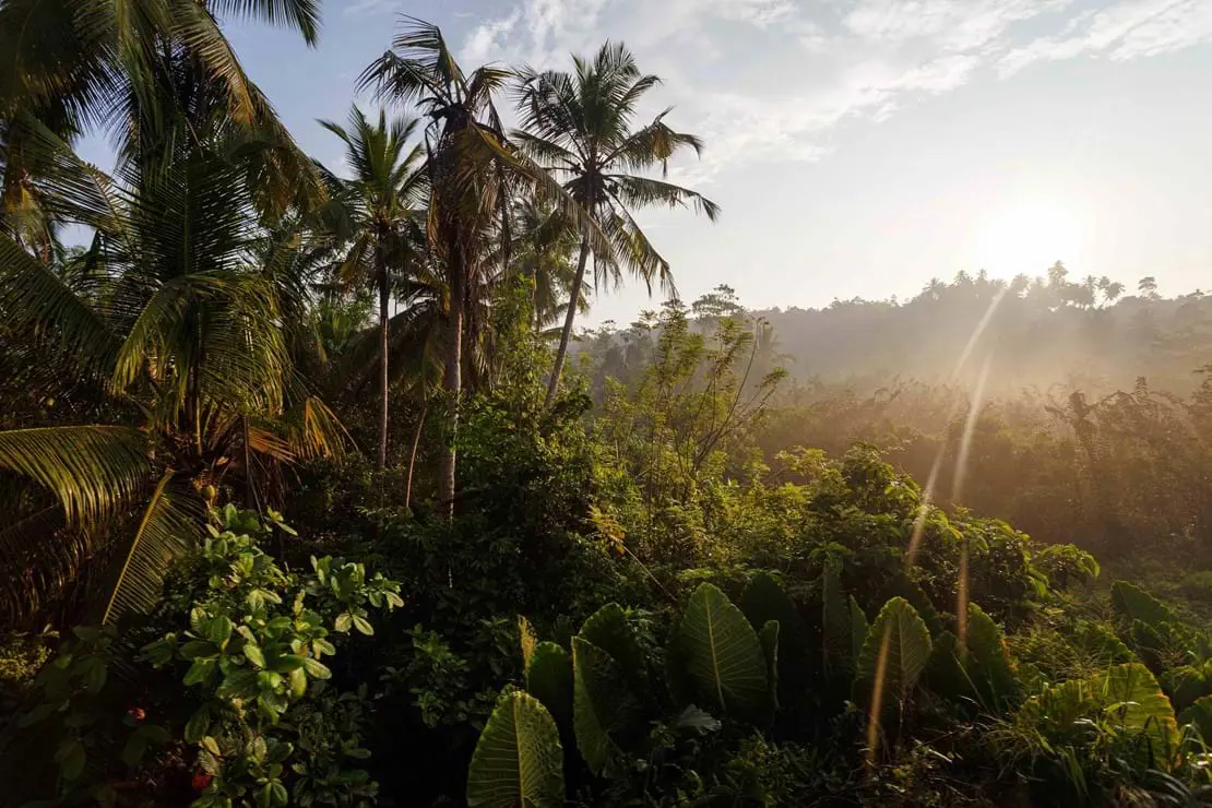 5 unique reasons to visit the island of Borneo