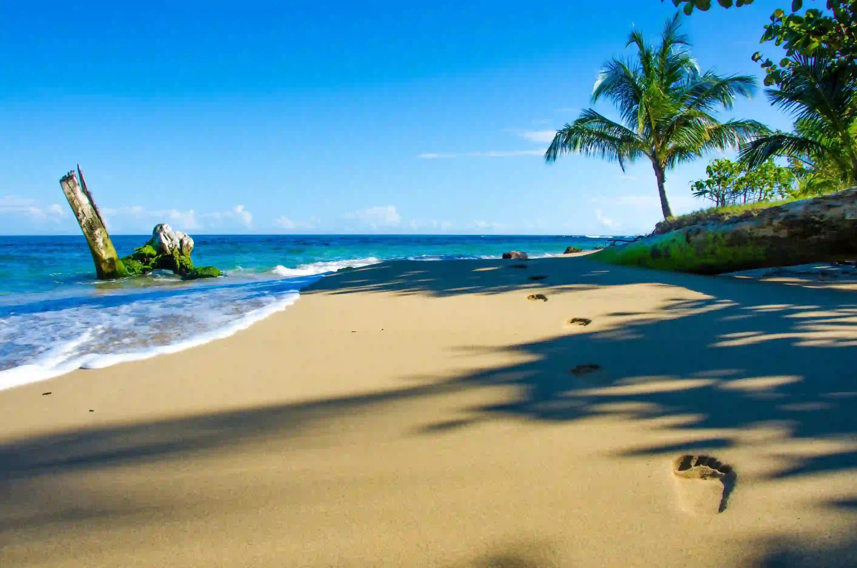 Beach in Costa Rica 