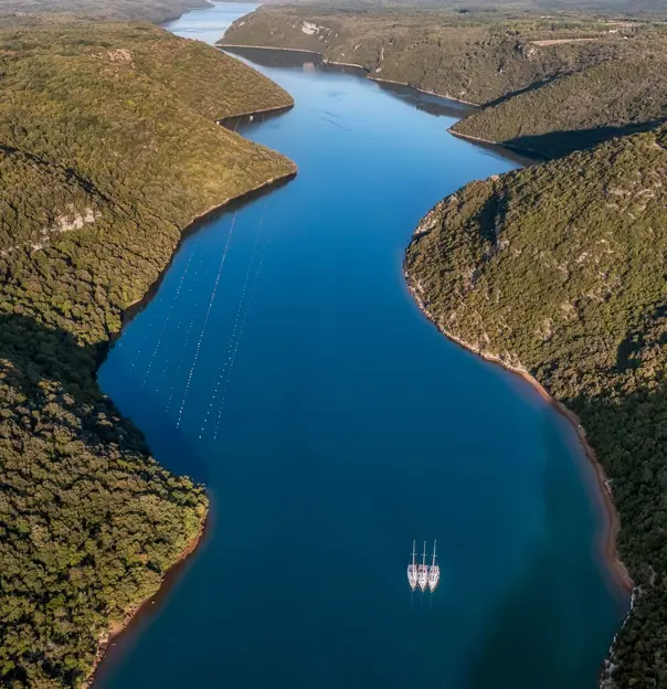 Birds eye view of a fjord, with three sail boats sailing close together in a line. Either side of the fjord is forested land. 