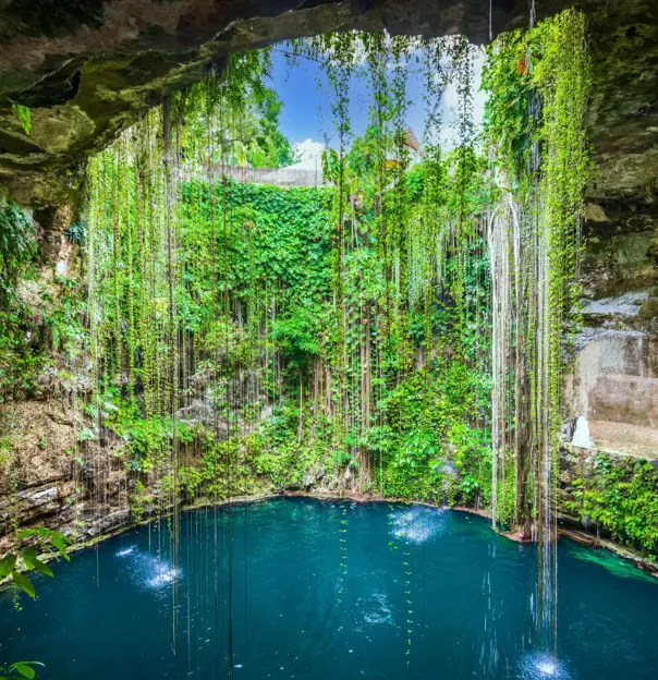 San Ignacio Park Cenote