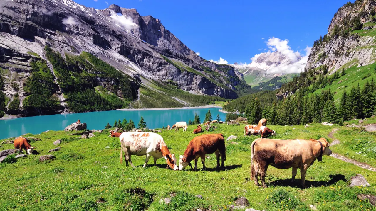 Lake Oeschinen, Switzerland