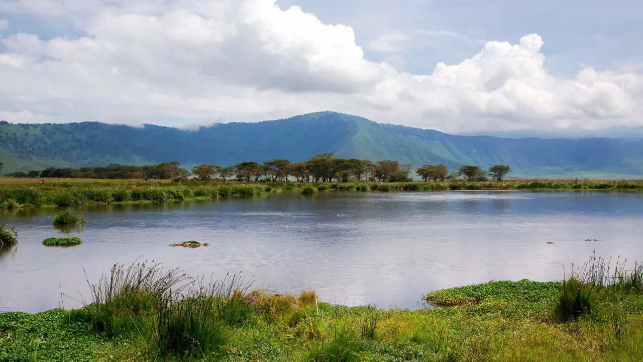 Lake Manyara, Tanzania