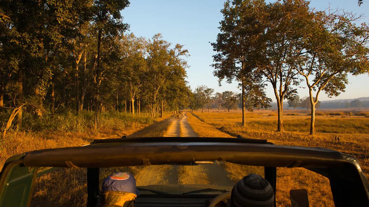 Kanha National Park