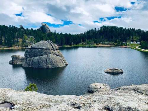 A tranquil spot in Custer State Park