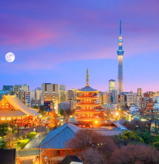 Tokyo At Night