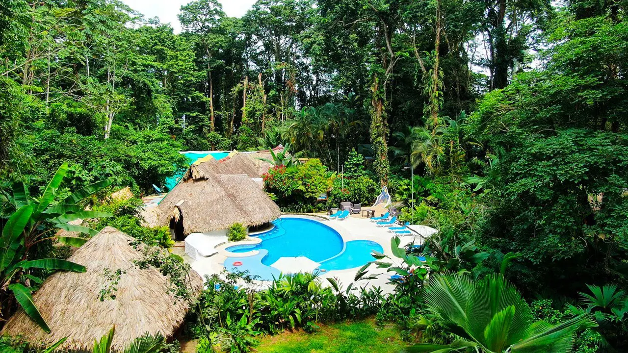 Cariblue Beach & Jungle Resort Pools