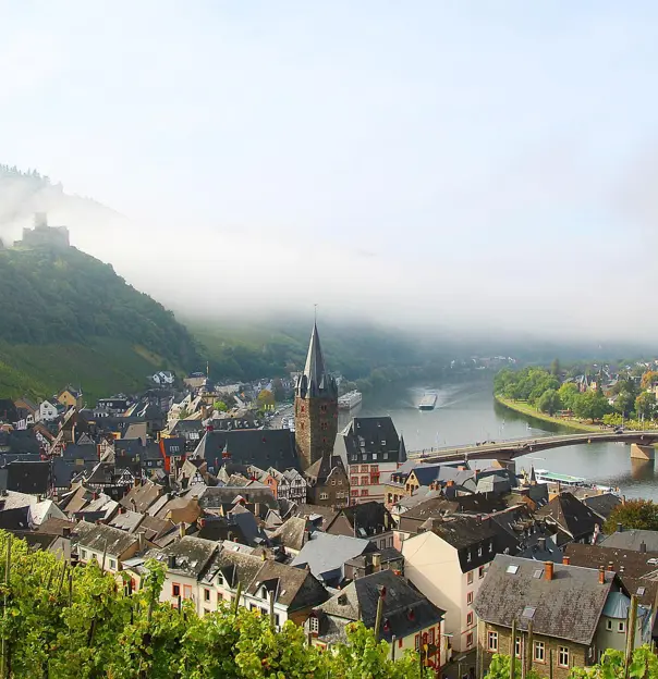 Moselle Views