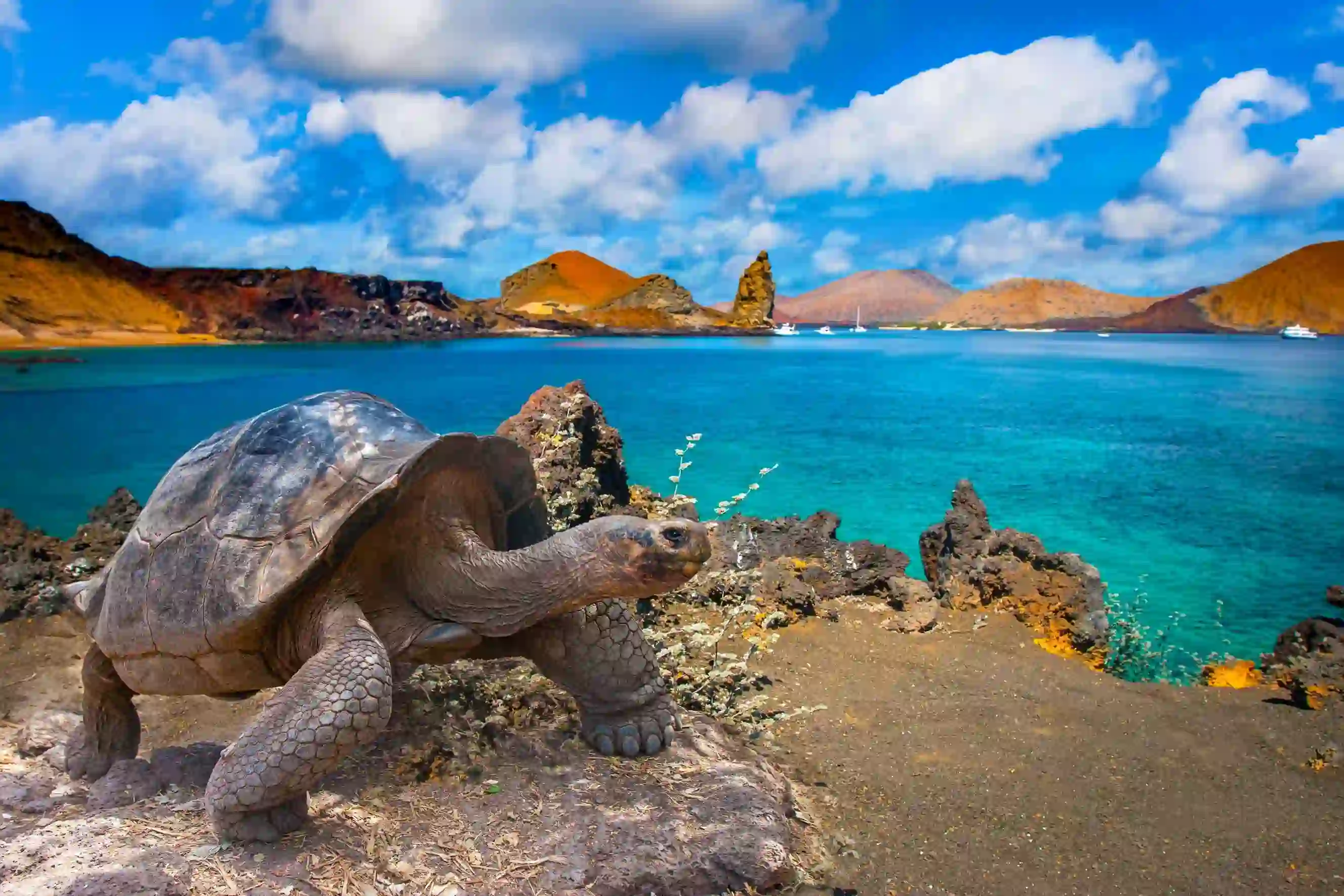 Galapagos Islands, Ecuador