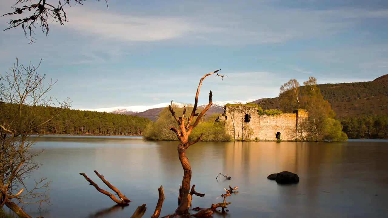 View of Loch An Eilean Castle, with the remains of a dead tree poking out the water in the forefront 