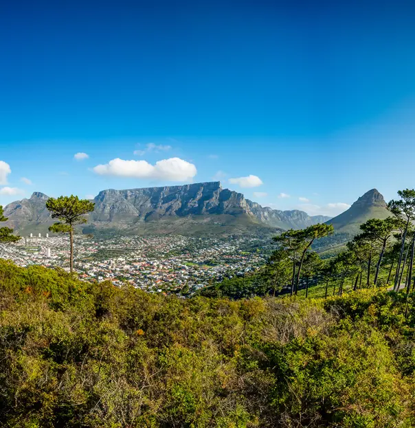 Table Mountain, Cape Town