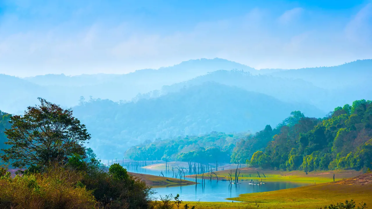 Periyar National Park, Kerala, India