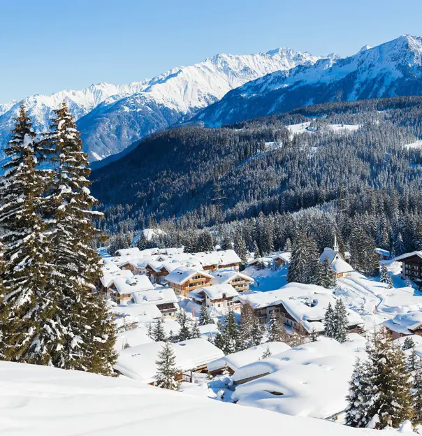 View of a village in the mountains in thick snow. With large fir trees in the left forefront, and smaller ones dotted around the village at the bottom the mountain. Above this a large forest of trees can be seen, going up the mountain, in front of large mountains covered in snow, in front of a light blue sky.