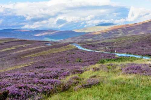 Cairngorms National Park, Scotland