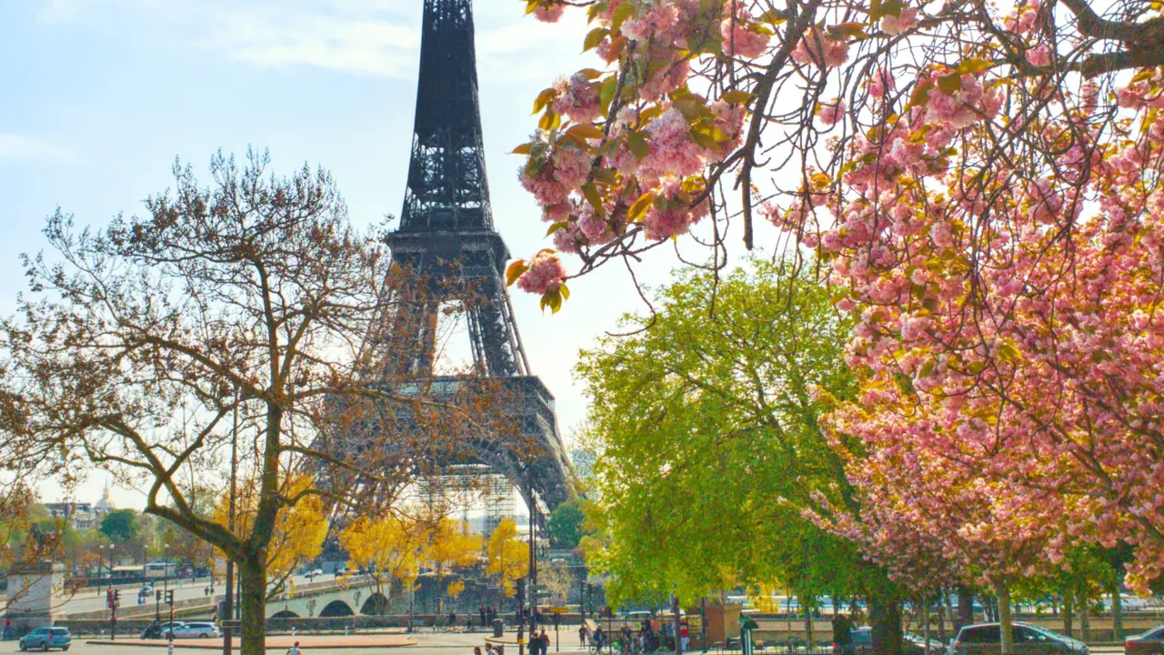 The Eiffel Tower, Paris