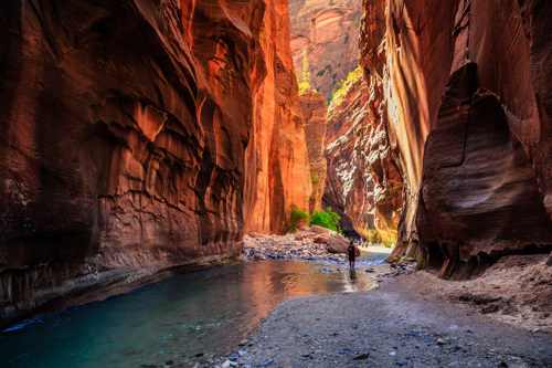 Zion National Park